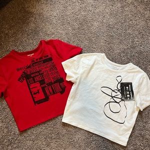 Hollister Social Tourist Crop Tops- 2 tops